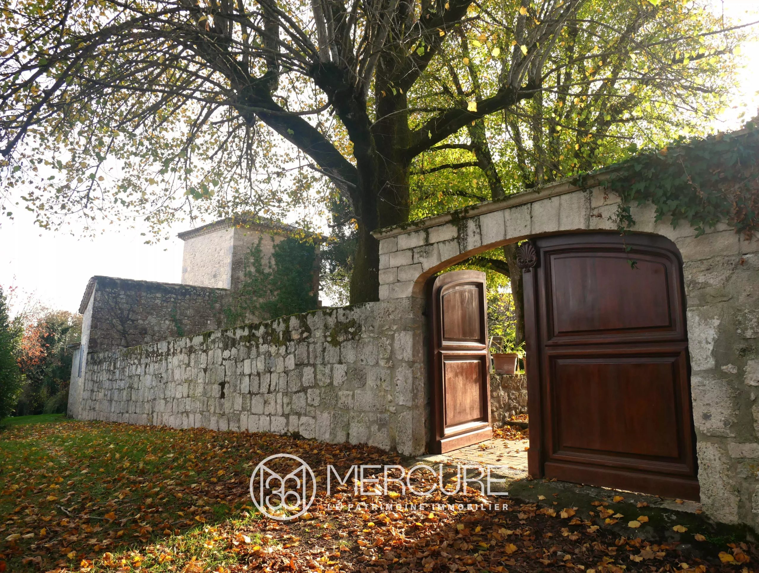 ENSEMBLE IMMOBILIER DE CHARME ENTIEREMENT RENOVE - 9272TS