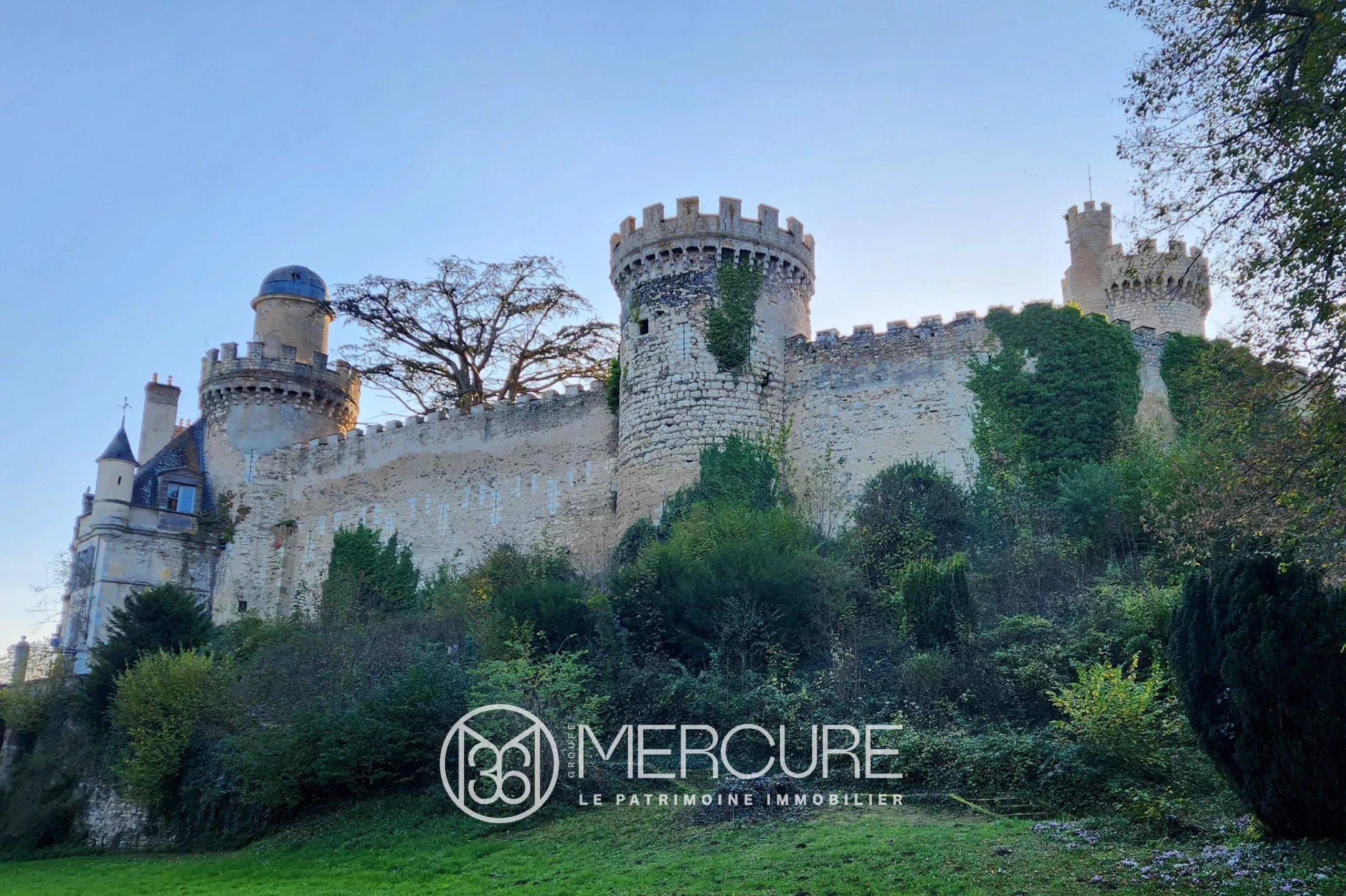 ALLIER, L4UN DES PLUS GRANDS ET PRESTIGIEUX CHATEAUX DE L&rsquo;ALLIER SUR 10HA. MH - 21392AU