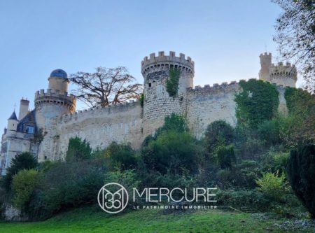 ALLIER, L4UN DES PLUS GRANDS ET PRESTIGIEUX CHATEAUX DE L&rsquo;ALLIER SUR 10HA. MH - 21392AU