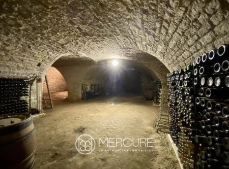 Large property in a dominant position, ideal for a charming residence or for professional projects - 1707VA