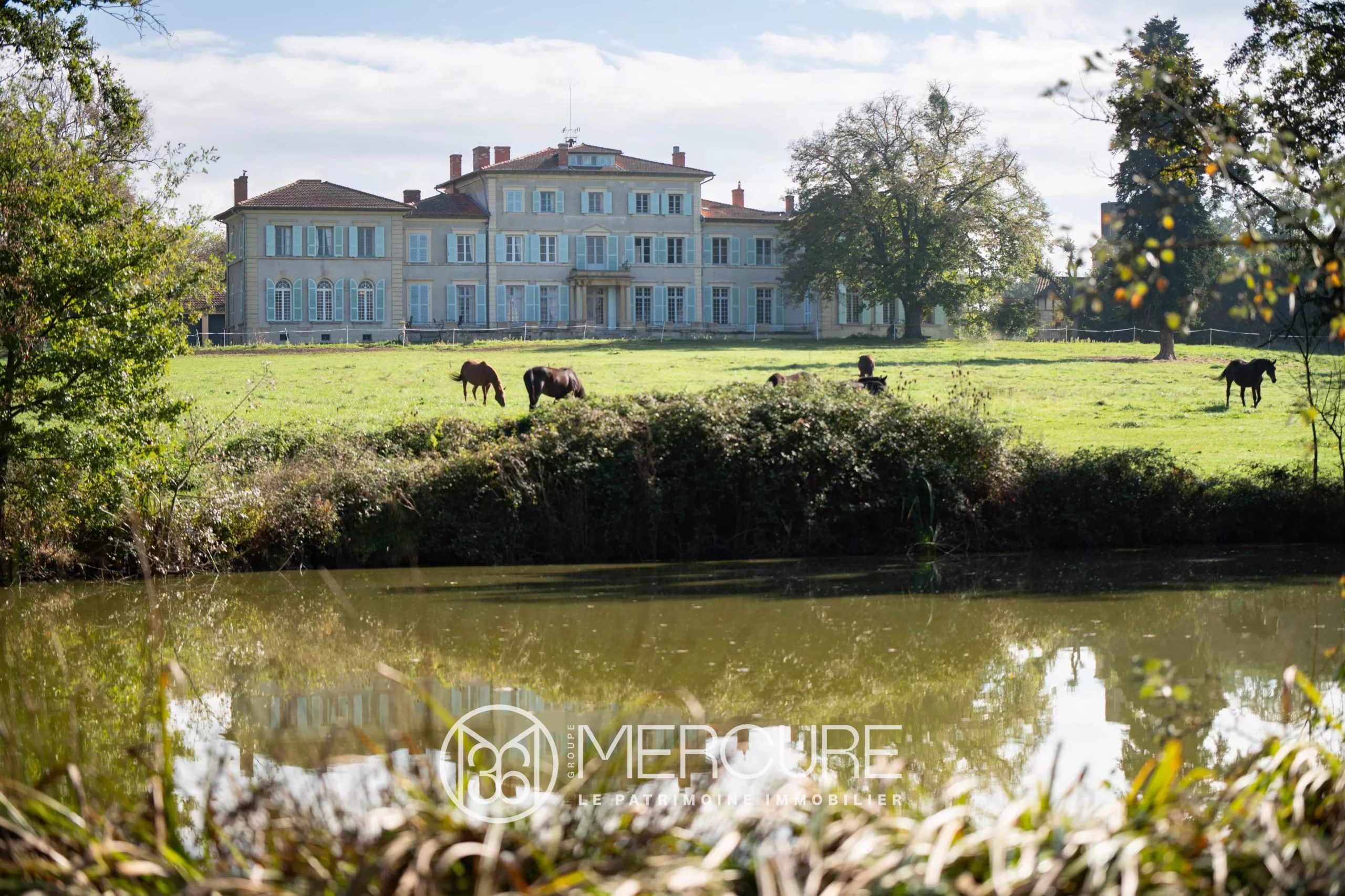 LOIRE – PLAINE DU FOREZ – CHATEAU SUR 4,8 HA - 4838LY