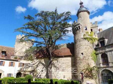 ALLIER, L4UN DES PLUS GRANDS ET PRESTIGIEUX CHATEAUX DE L’ALLIER SUR 10HA. MH - 21392AU