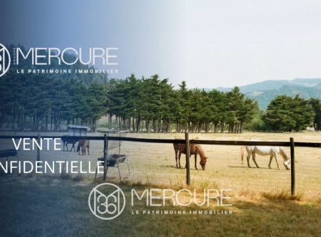 Normandy, 30 minutes from Deauville, 40 ha stud farm with 80 boxes - 21250NO