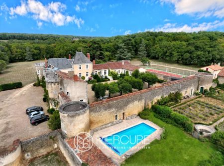 EXCEPTIONAL PROPERTY IN POITOU - 10206PO