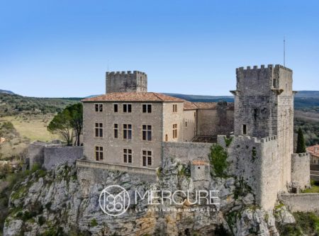 HERAULT 40 MINUTES NORD MONTPELLIER CHATEAU DE BRISSAC ORIGINE XIIème ET SES DEPENDANCES - 20651LR