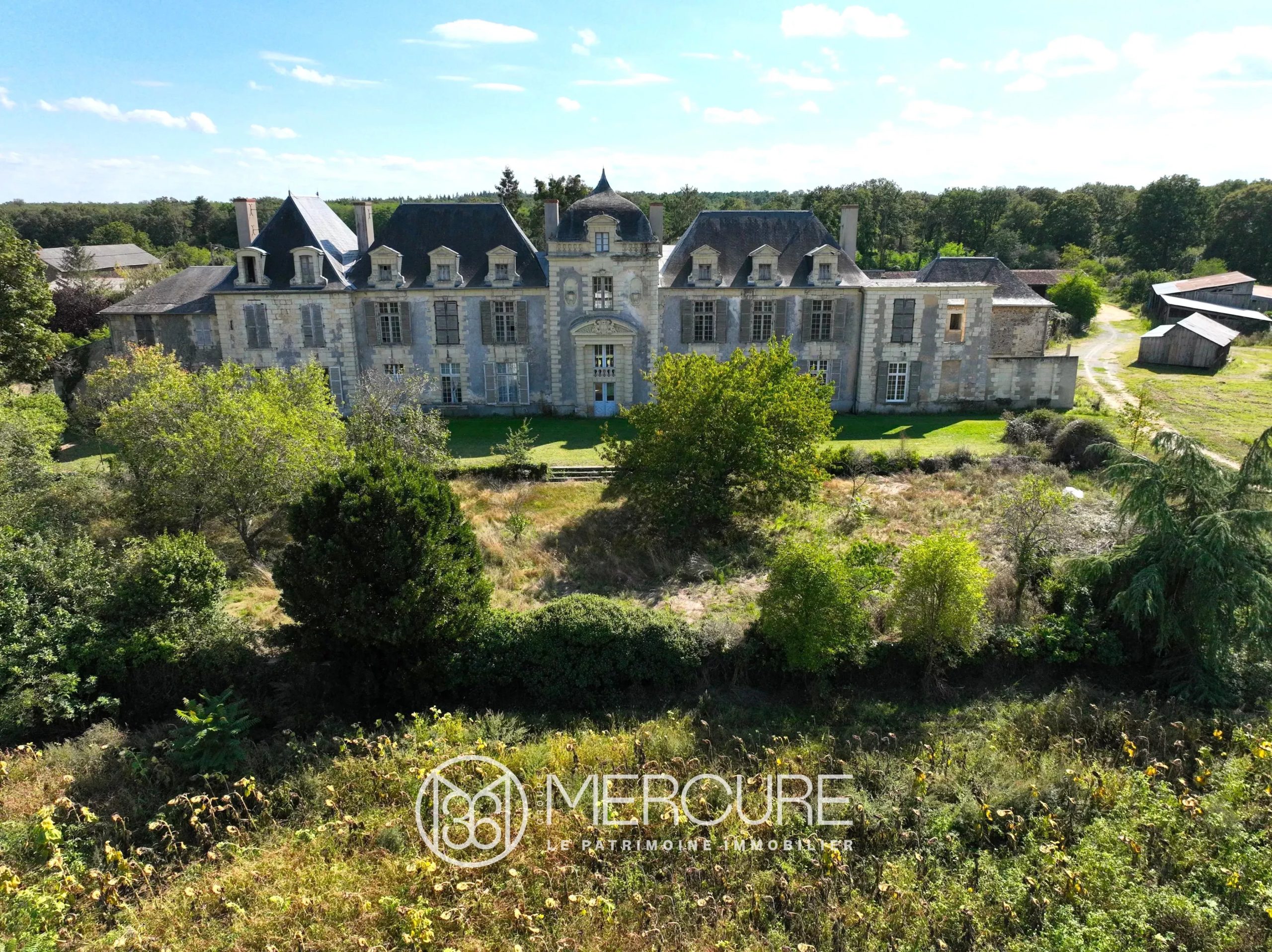 CHATEAU FIN RENAISSANCE sur 26 HA - 9778PO