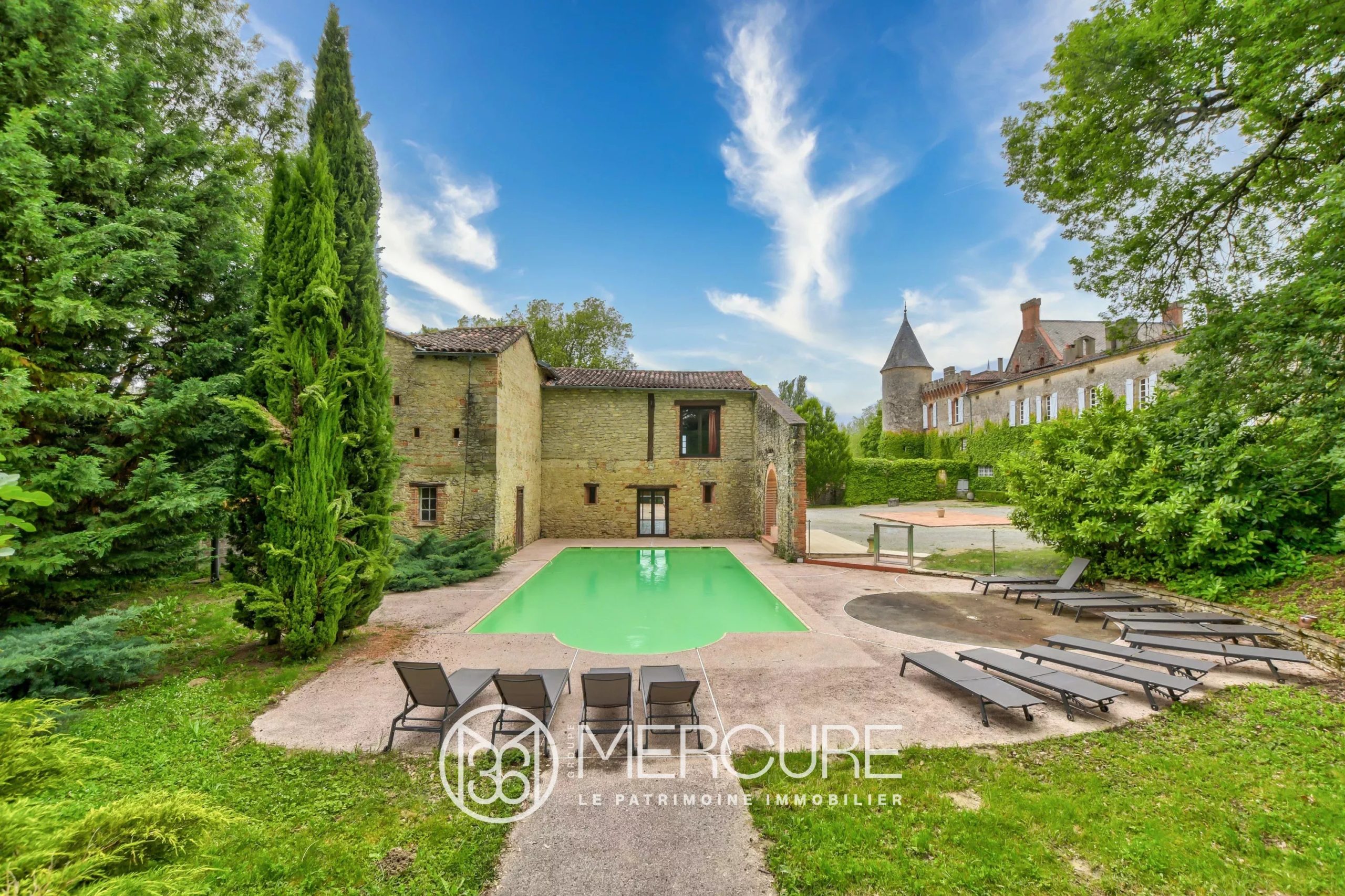 CHATEAU MEUBLE SUR 9HA – ORANGERIE – GITES - 9016TS