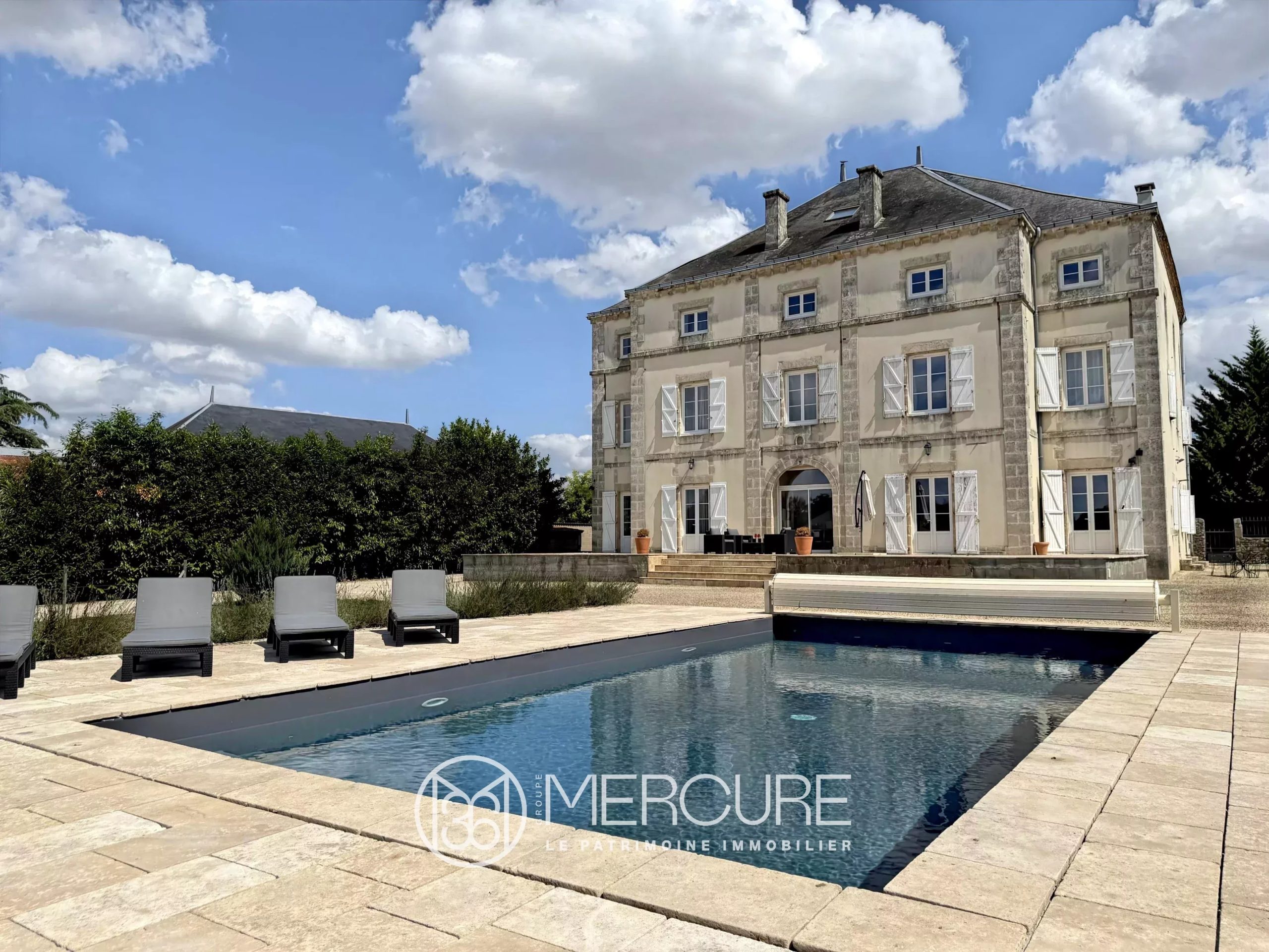 IMMEUBLE XIXe de 700 m² avec PISCINE et DEPENDANCE - 10204PO