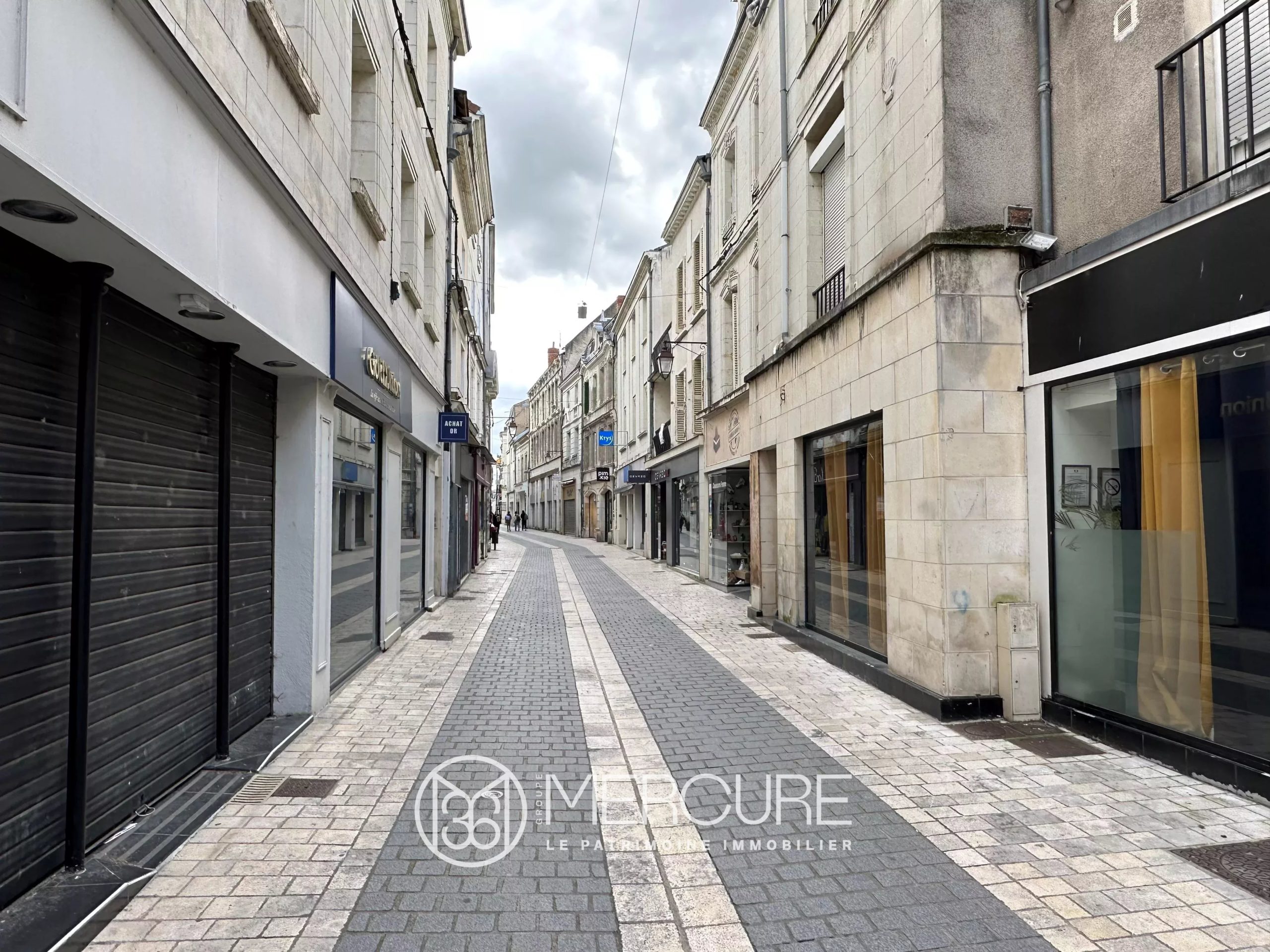 IMMEUBLE – 2 TYPE 1 et LOFT ou COMMERCE - 9644PO