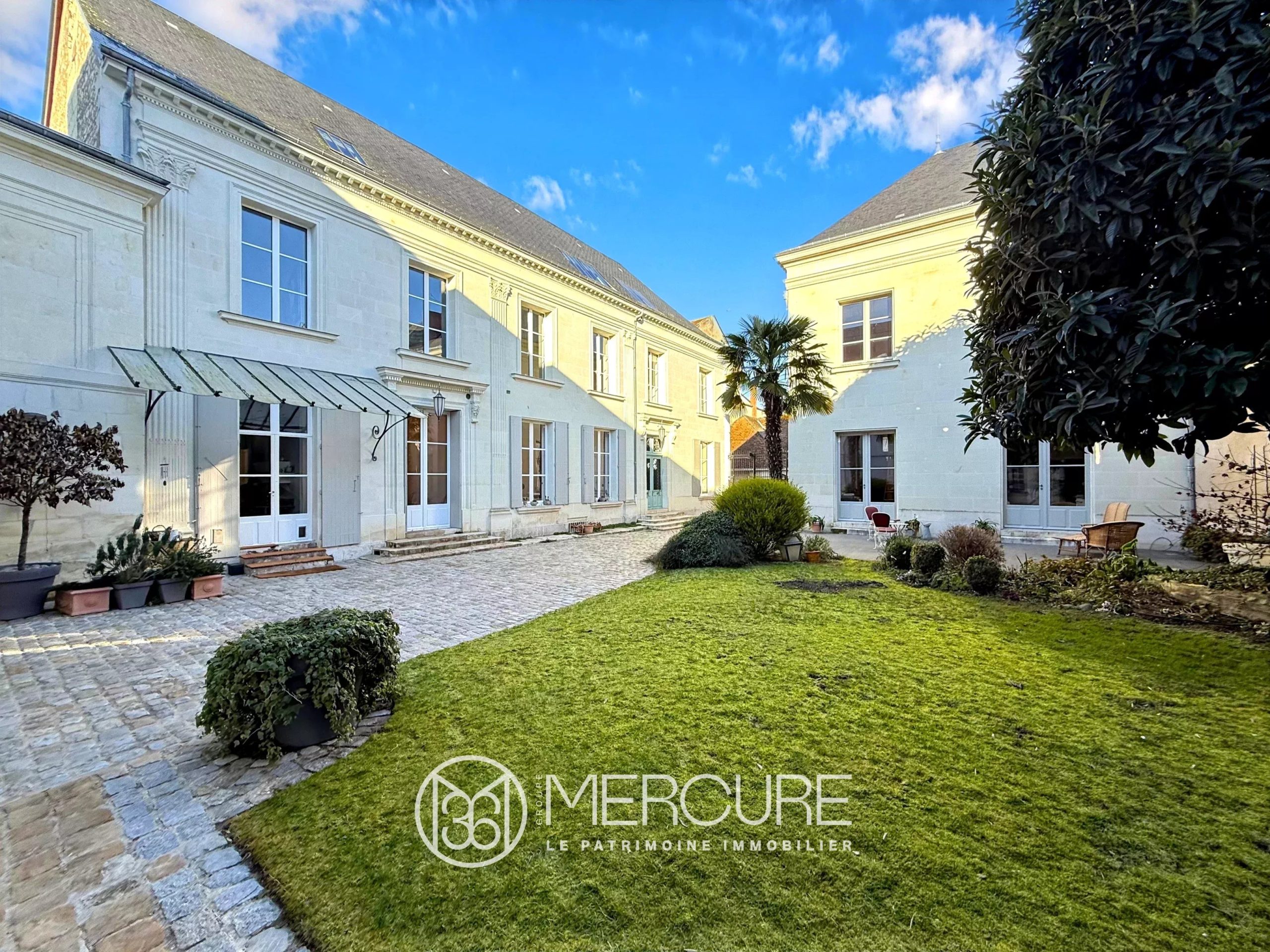 HOTEL PARTICULIER avec MAISON ANNEXE et DEPENDANCE - 10053PO