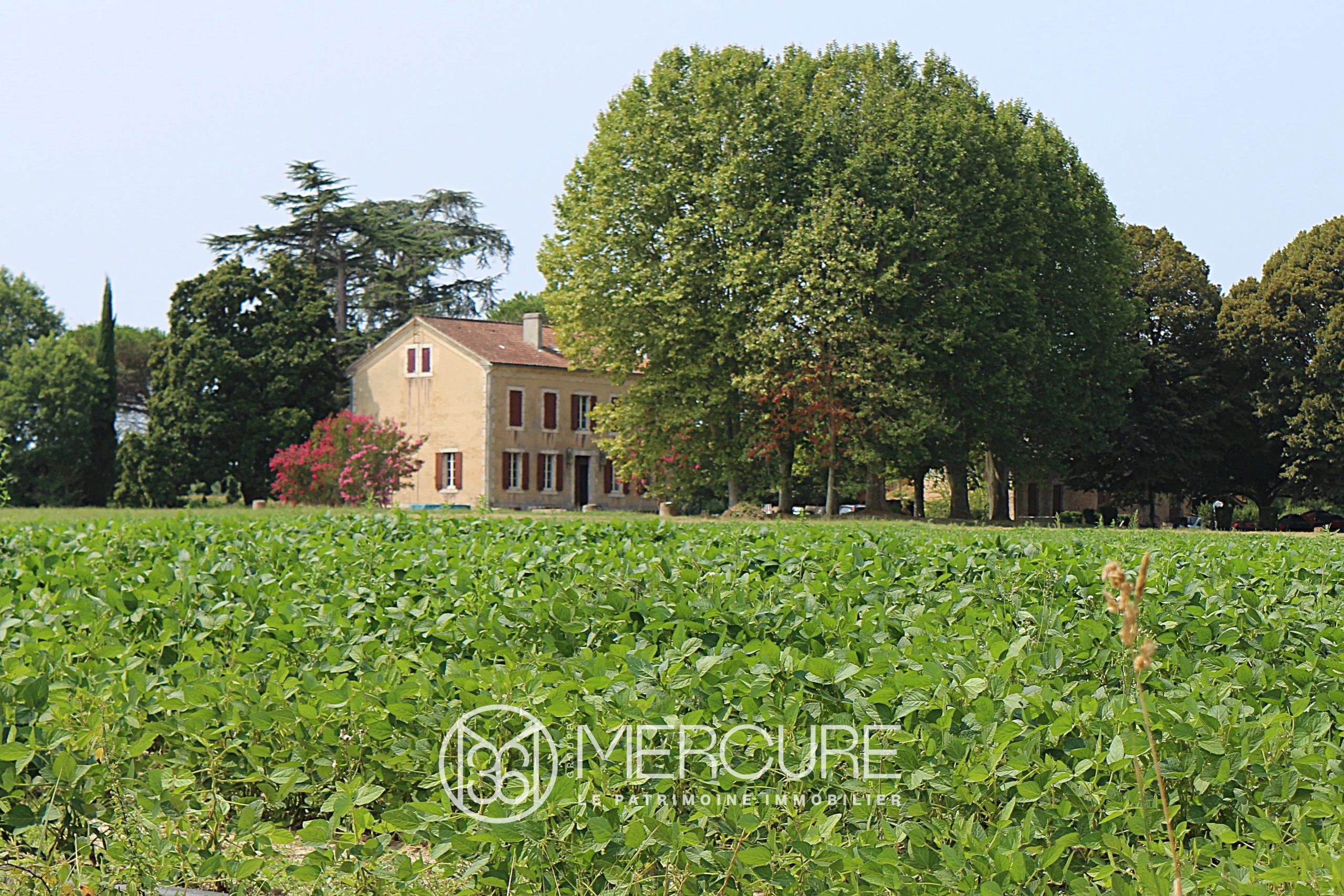 MAISON DE MAÎTRE – 32 HA ET DEPENDANCES – LOT-ET-GARONNE - 901065bx