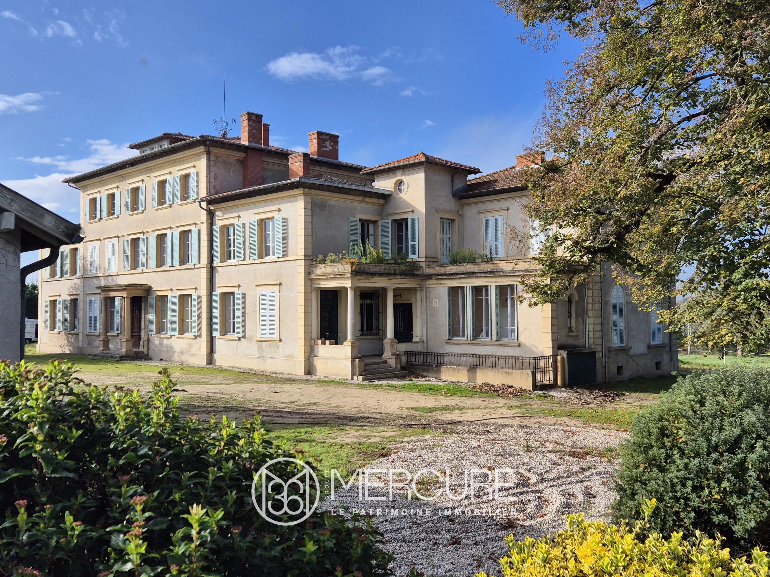 LOIRE – PLAINE DU FOREZ – CHATEAU SUR 4,8 HA - 4838LY