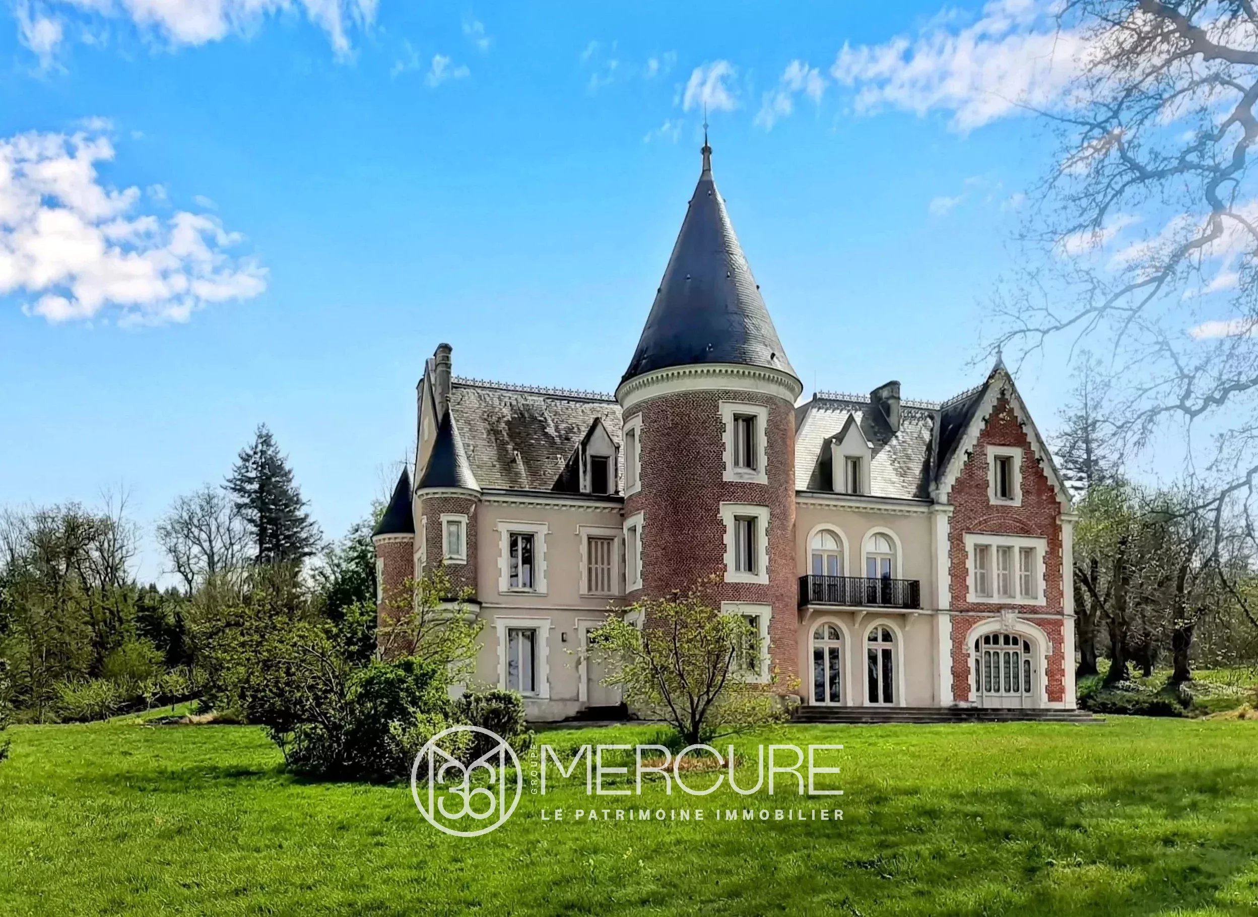 CHATEAU RENOVE, 66HA, PISCINE, SOURCE - 21704MHL