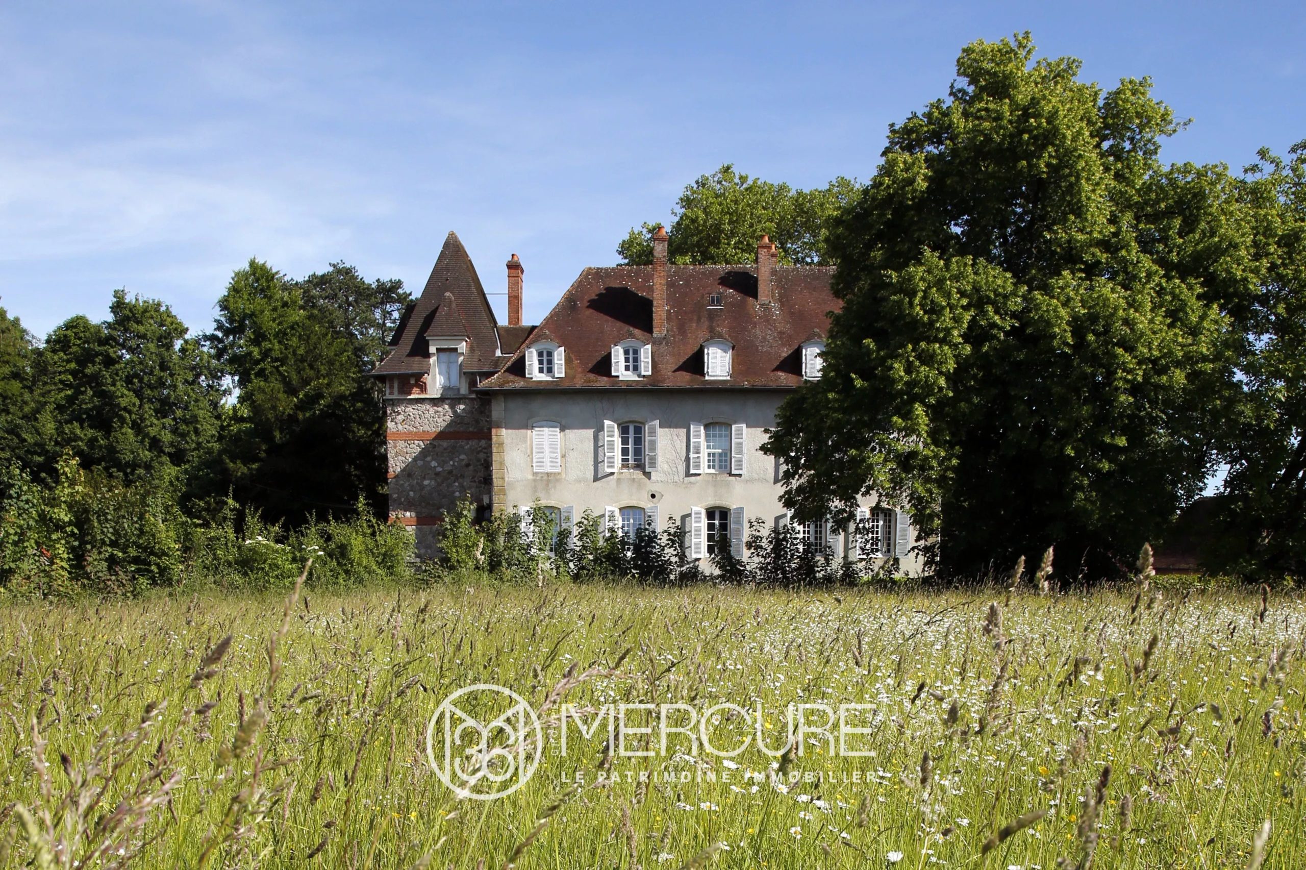 AGREABLE CHATEAU XVIIIè ET SES DEPENDANCES - 21731AU