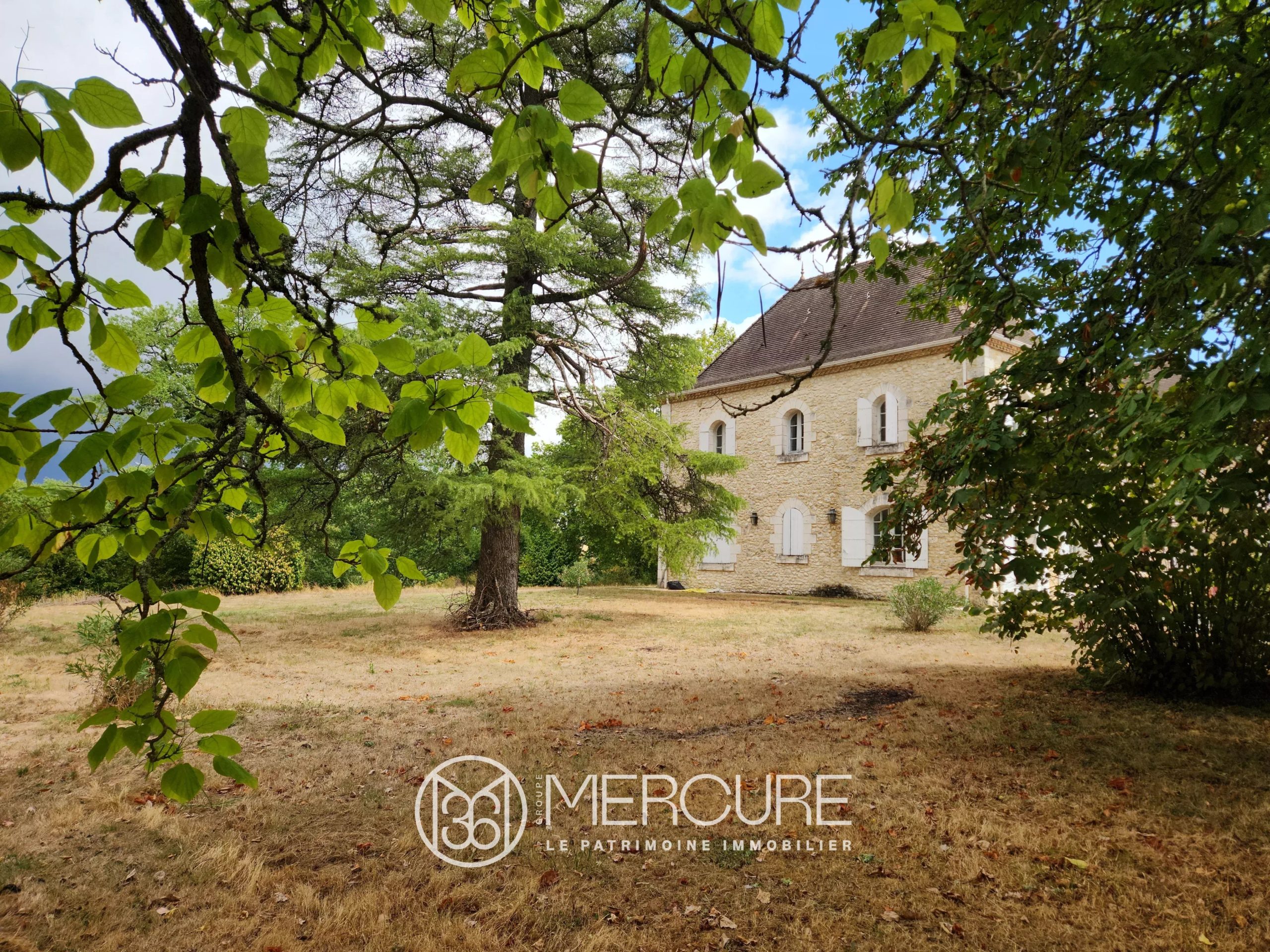 Château, 2 maisons, écurie, nombreuses dépendances, 2000m², 50ha bois et prés - 901115bx